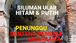 20 TAHUN NGARIT RUMPUT DI BENTENG PENDEM JADI SAKSI BANYAK PENAMPAKAN [upl. by Erusaert]