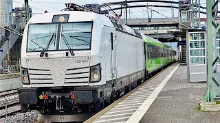 Train at Weil am Rhein Station 4K [upl. by Calmas]