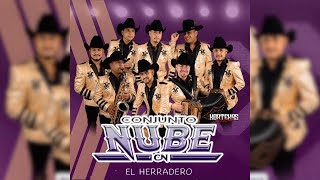 Conjunto Nube  El Herradero ♪ 2019 [upl. by Alithea]