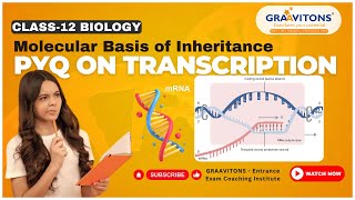 Transcription and mRNA processing  Biomolecules  Class 12 [upl. by Drawd357]