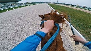 NEW RECORD 1 Place Graded 3 Race 1400 m 1257  Zwegat GER  Kincsem park Budapest  GoPro [upl. by Hallagan]