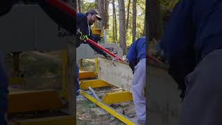 Quartersawing a Massive White Oak on My Frontier Sawmill [upl. by Tymon]