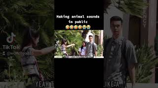 Very Funny 🤣🤣🤣 wildlife funny happy youtubeshorts [upl. by Gwenora508]