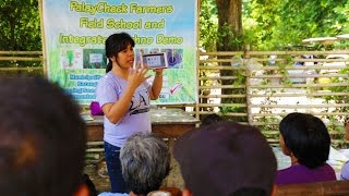 PhilRice Impact Accelerating the Devt and Dissemination of Associated Rice Production Technologies [upl. by Novyak351]