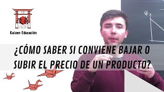 ECONOMIA  SECTORES DE LA DEMANDA ELASTICIDAD E INGRESO MARGINAL [upl. by Akinot]