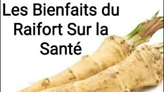 Les Bienfaits du Raifort Sur la Santébienfaitsraoufbiologiste [upl. by Thibault]