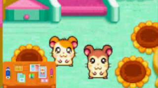 Lets Play Hamtaro Ham Ham Games 26 The Search for Hamigos Begins [upl. by Obeded]