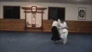 Aikido Shodan Grading Demonstration [upl. by Lexa590]