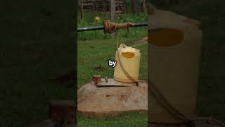 How the Amish Get Drinkable Water Without the Government [upl. by Mert]