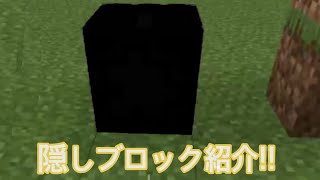 隠しブロック紹介【マイクラ】【コマンド】【隠しブロック】 [upl. by Raila103]