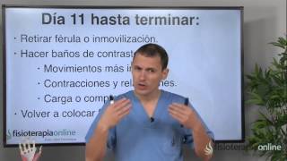 Tratamiento de fracturas o fisuras óseas  Fisioterapia Bilbao [upl. by Lois]