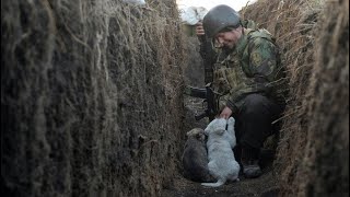 Ukrainian war song about trench warfare quotMe my buddy and 2 shovelsquot [upl. by Yann701]