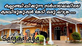 Sargalaya Memories A Delightful Trip to Sargalaya Handcrafts Village in Iringal  Malayalam [upl. by Ott]