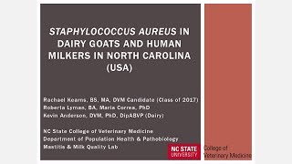 Staphylococcus aureus in Dairy Goats and Human Milkers [upl. by Papke]