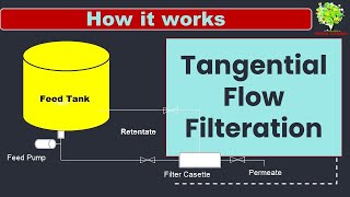 Tangential Flow filtration Process I Cross Flow Filteration I TFF how it works [upl. by Stacy753]