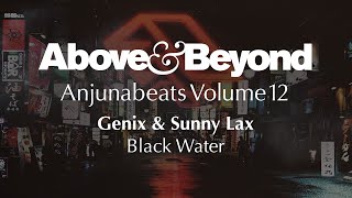 Genix amp Sunny Lax  Black Water [upl. by Euqinaj]