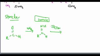 Amino Acid 21 Malonic Ester Example [upl. by Nnylirret]