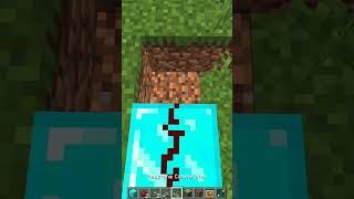 How to Build a Secret Redstone Door with an Item Frame 🔥 minecraft [upl. by Whitehouse]