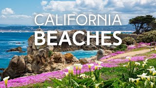 Top 10 Beaches in California [upl. by Silliw]