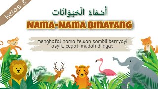 Bahasa Arab kelas 3 quotNAMANAMA BINATANGquot  cara cepat belajar bahasa arab  CANELLA [upl. by O'Connell]