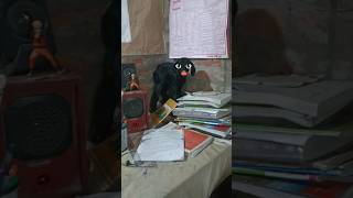 Aaj me apane study table par gaya to kya hua 🤣min minivlogvlog shortsvlog [upl. by Cosmo]