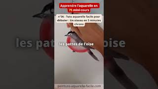 n°36  Tuto aquarelle facile  Un oiseau en 3 minutes Apprendre laquarelle en 75 minicours [upl. by Cila206]