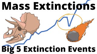 Big 5 Mass Extinction Events [upl. by Ennaeiluj]