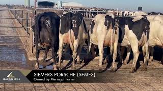 Siemers Porsche Semex  Owned by Meringal Farms [upl. by Skantze]