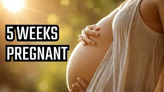 4K Pregnancy Week By Week  5 Weeks Pregnant 2024 [upl. by Shimberg]