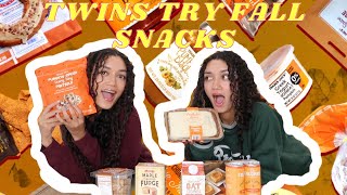 We Taste Test EVERY Fall Snack  The Mason Twins [upl. by Herwin296]