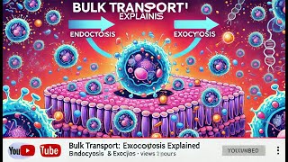 Bulk Transport Endocytosis amp Exocytosis Explained [upl. by Eudo]