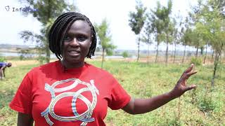 Refugees in Uganda lead Lake Nakivale ecological restoration [upl. by Annaeed]