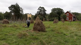 Askalan luonnonsuojelualue 23082024 – Syksyinen mieli ja retkisuunnitelmia lähialueilla [upl. by Kerekes]