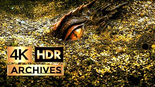 The Hobbit  The Desolation of Smaug ● Part 1 of 3 ● The Hobbit And The Dragon  HDR  4K  51 [upl. by Valida]