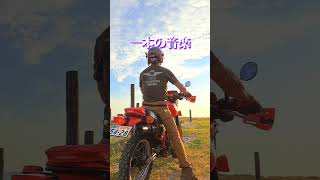 HONDA XL250R 1981 MD03E 旧車バイク xl250r hondabike [upl. by Kieran713]