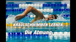 Kraulschwimmen lernen  die Atmung 2er oder 3er  SWIMAZING UNIVERSITY [upl. by Lletnuahs914]