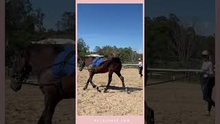 Lunging Demonstration  With amp Without The Kula Lunge [upl. by Ruthanne792]