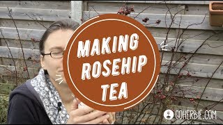 How to make rosehip tea  with fresh rosehips [upl. by Ashla269]