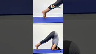 Bhushirshasana  How to do a headstand its easier than you think [upl. by Moreta]