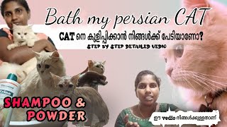 മിന്നൂൻ്റെ കുളിസീൻ 🤪 HOW TO BATHE YOUR CAT  Persian Cat നെ കുളിപ്പിക്കാൻ പേടിയുണ്ടോ🥰 [upl. by Ninos]