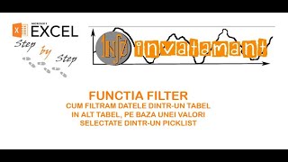 Functia Filter Excel [upl. by Merrill941]