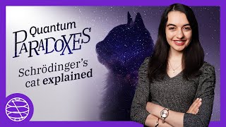 Schrödingers Cat Explained with Quantum Computing  Paradoxes Ep 01 [upl. by Nylarak]