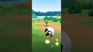 Caught a Scatterbug speedup edit pokemongo [upl. by Raimes453]