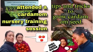 CARDAMOM SEED NURSERY TRAINNING villagelifestyle dzongu organicgardening youtube [upl. by Merari]