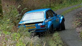 Kerry Winter Stages Rally 2024  Moment amp Action  HD [upl. by Ayanad]