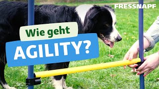 Wie geht Agility Einfache Übungen für Anfänger Tunnel Sprünge Slalom [upl. by Rednave]