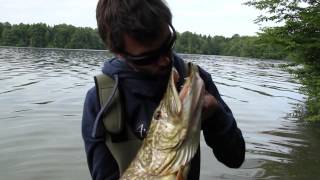 Le grand lac  Pêche du brochet  AM Fishing [upl. by Mailiw]