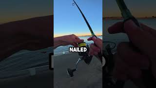 Fishing With Big Live Bait From The Beach livebaitfishing fishingvideo [upl. by Imiaj256]