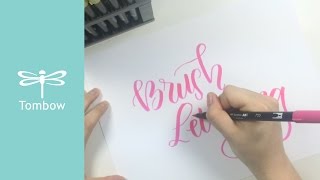 Ways to Use Tombow Dual Brush Pens [upl. by Alah]