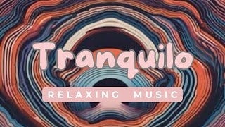 Joyfulframess Tranquilo  Calm Instrumental Music for Relaxation amp Focus [upl. by Dawna]